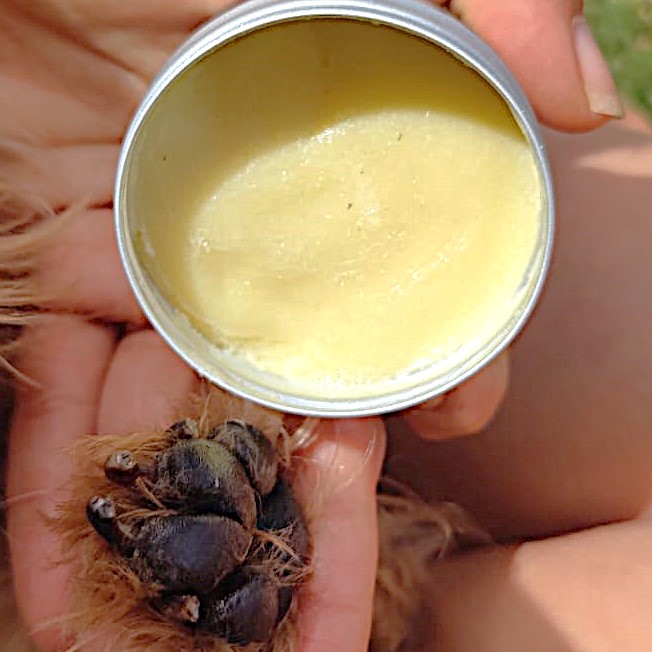 productos naturales para mascotas formulados por veterinaria